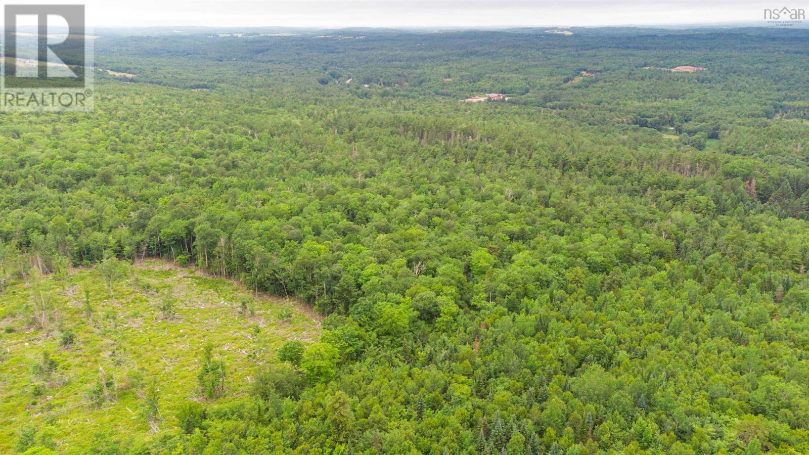 Osborne Road, New Germany, Nova Scotia  B0R 1E0 - Photo 24 - 202417434