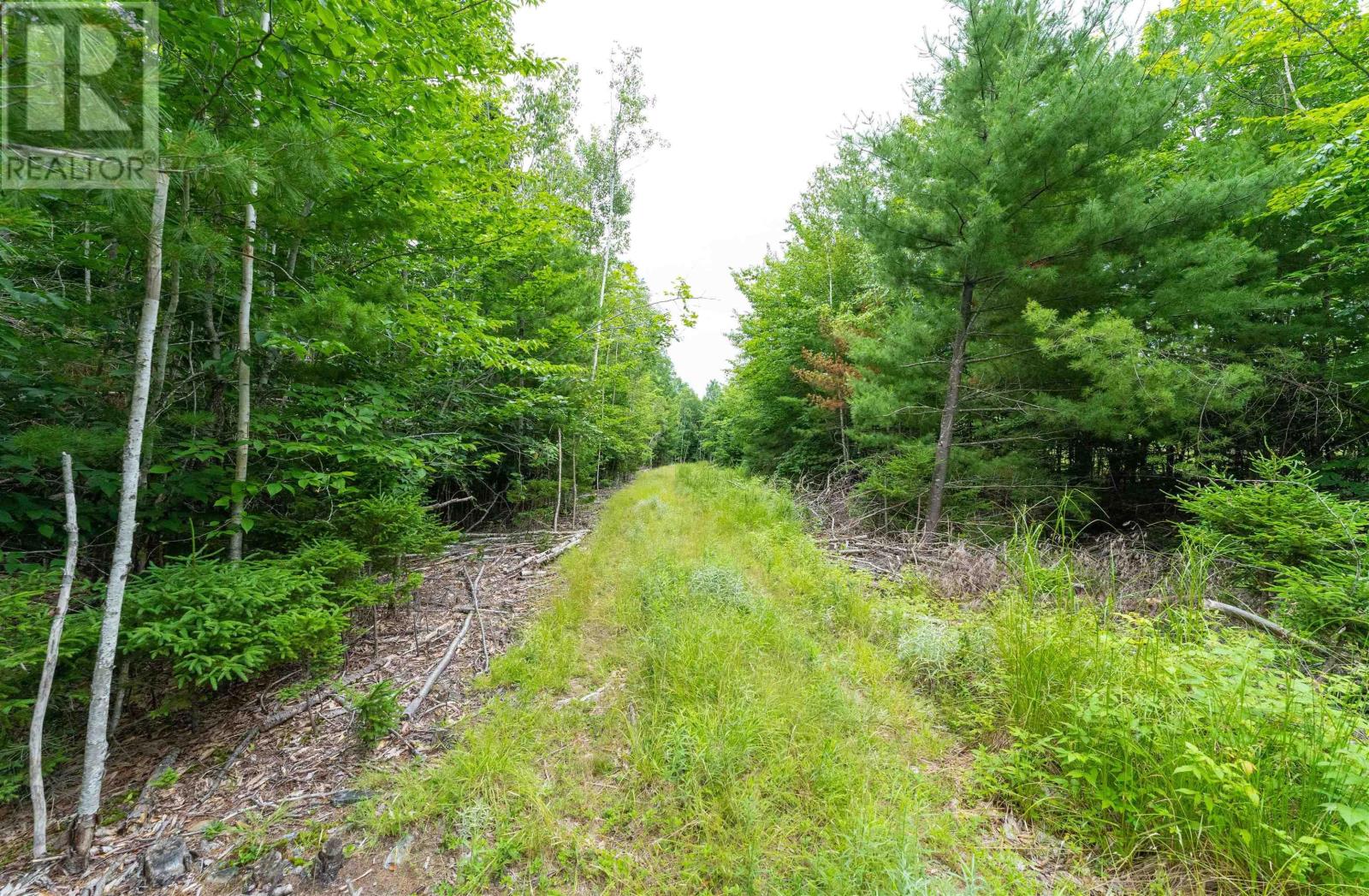 Osborne Road, New Germany, Nova Scotia  B0R 1E0 - Photo 3 - 202417434