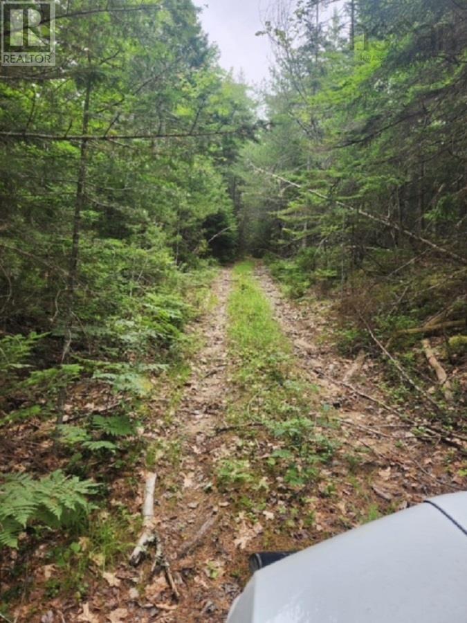 Lot 29 Tupper Lake, westfield, Nova Scotia