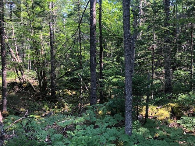 Lot 29 Tupper Lake, Westfield, Nova Scotia  B0T 1X0 - Photo 12 - 202417569