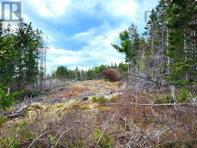 Lot Back Road, Voglers Cove, Nova Scotia  B0J 2H0 - Photo 10 - 202417603