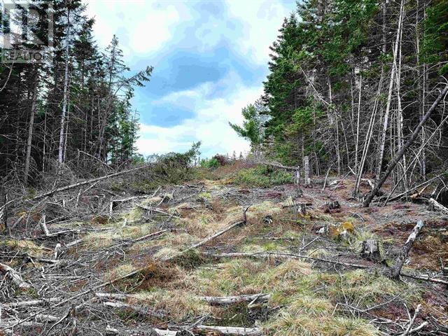 Lot Back Road, Voglers Cove, Nova Scotia  B0J 2H0 - Photo 11 - 202417603