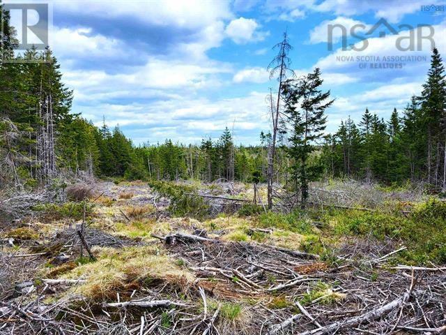 Lot Back Road, Voglers Cove, Nova Scotia  B0J 2H0 - Photo 12 - 202417603