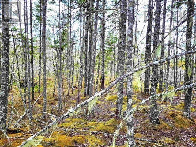 Lot Back Road, Voglers Cove, Nova Scotia  B0J 2H0 - Photo 14 - 202417603