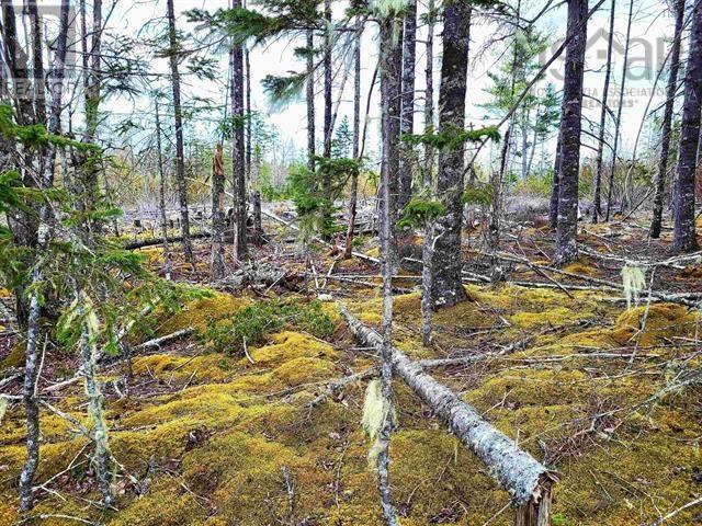 Lot Back Road, Voglers Cove, Nova Scotia  B0J 2H0 - Photo 16 - 202417603