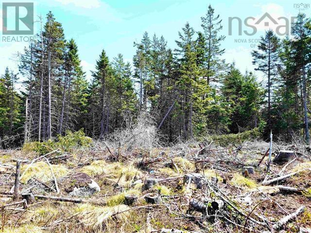 Lot Back Road, Voglers Cove, Nova Scotia  B0J 2H0 - Photo 17 - 202417603