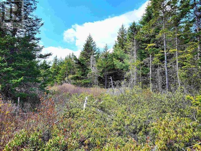 Lot Back Road, Voglers Cove, Nova Scotia  B0J 2H0 - Photo 19 - 202417603