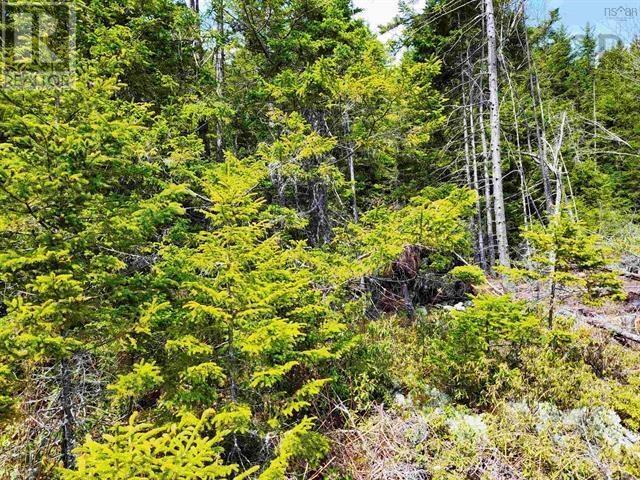 Lot Back Road, Voglers Cove, Nova Scotia  B0J 2H0 - Photo 2 - 202417603