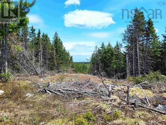 Lot Back Road, Voglers Cove, Nova Scotia  B0J 2H0 - Photo 23 - 202417603