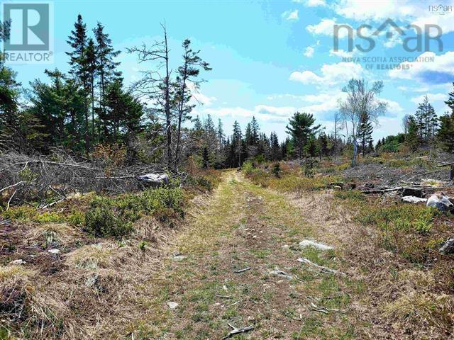 Lot Back Road, Voglers Cove, Nova Scotia  B0J 2H0 - Photo 24 - 202417603