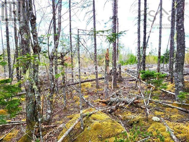 Lot Back Road, Voglers Cove, Nova Scotia  B0J 2H0 - Photo 25 - 202417603