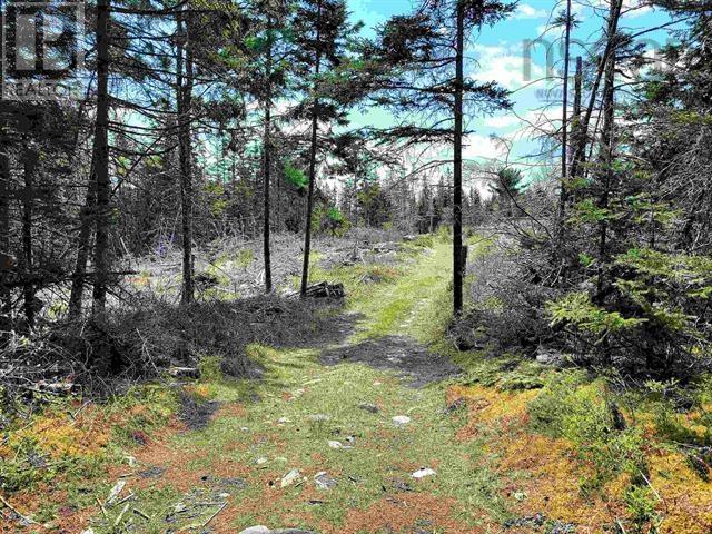 Lot Back Road, Voglers Cove, Nova Scotia  B0J 2H0 - Photo 4 - 202417603