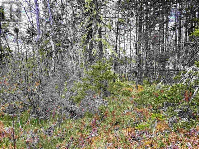 Lot Back Road, Voglers Cove, Nova Scotia  B0J 2H0 - Photo 6 - 202417603