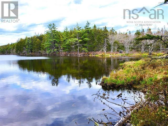 Lot Back Road, Voglers Cove, Nova Scotia  B0J 2H0 - Photo 7 - 202417603