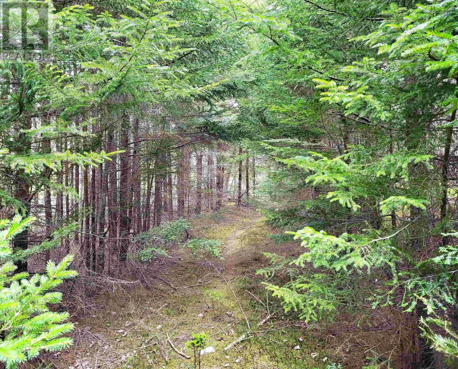 Lot Hirtle Road, Voglers Cove, Nova Scotia  B0J 2H0 - Photo 10 - 202417604