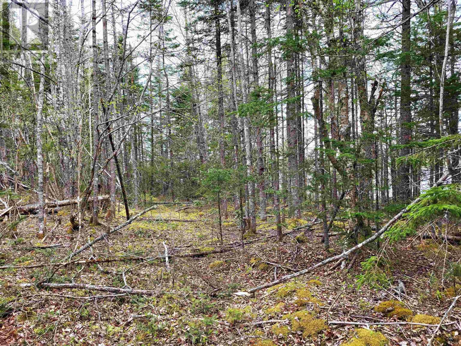 Lot Hirtle Road, Voglers Cove, Nova Scotia  B0J 2H0 - Photo 11 - 202417604