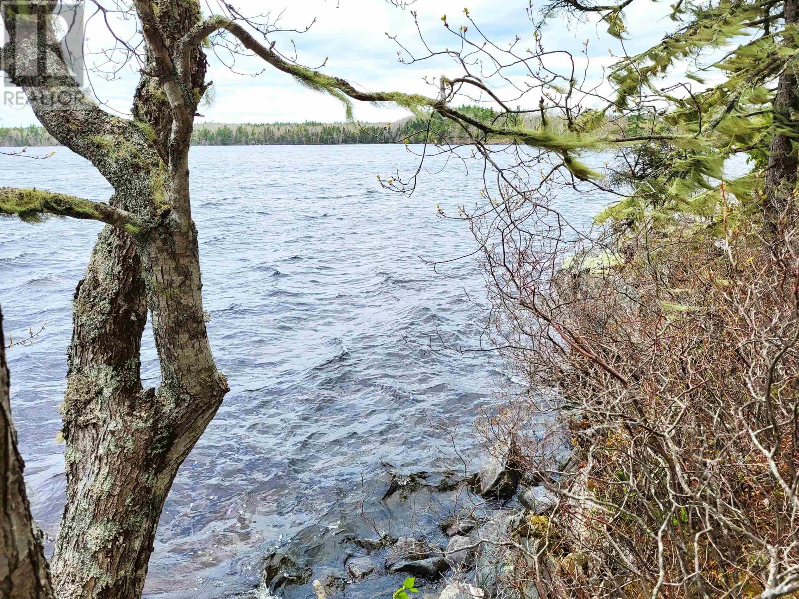 Lot Hirtle Road, Voglers Cove, Nova Scotia  B0J 2H0 - Photo 14 - 202417604