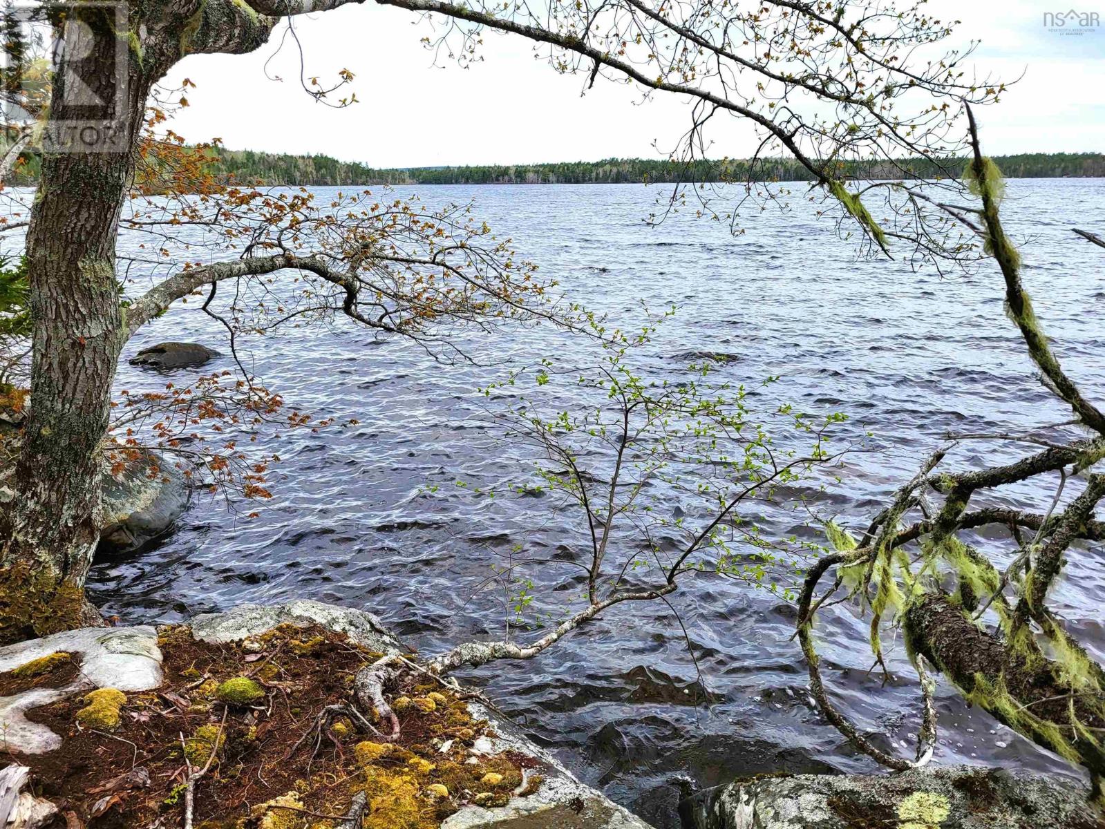 Lot Hirtle Road, Voglers Cove, Nova Scotia  B0J 2H0 - Photo 23 - 202417604