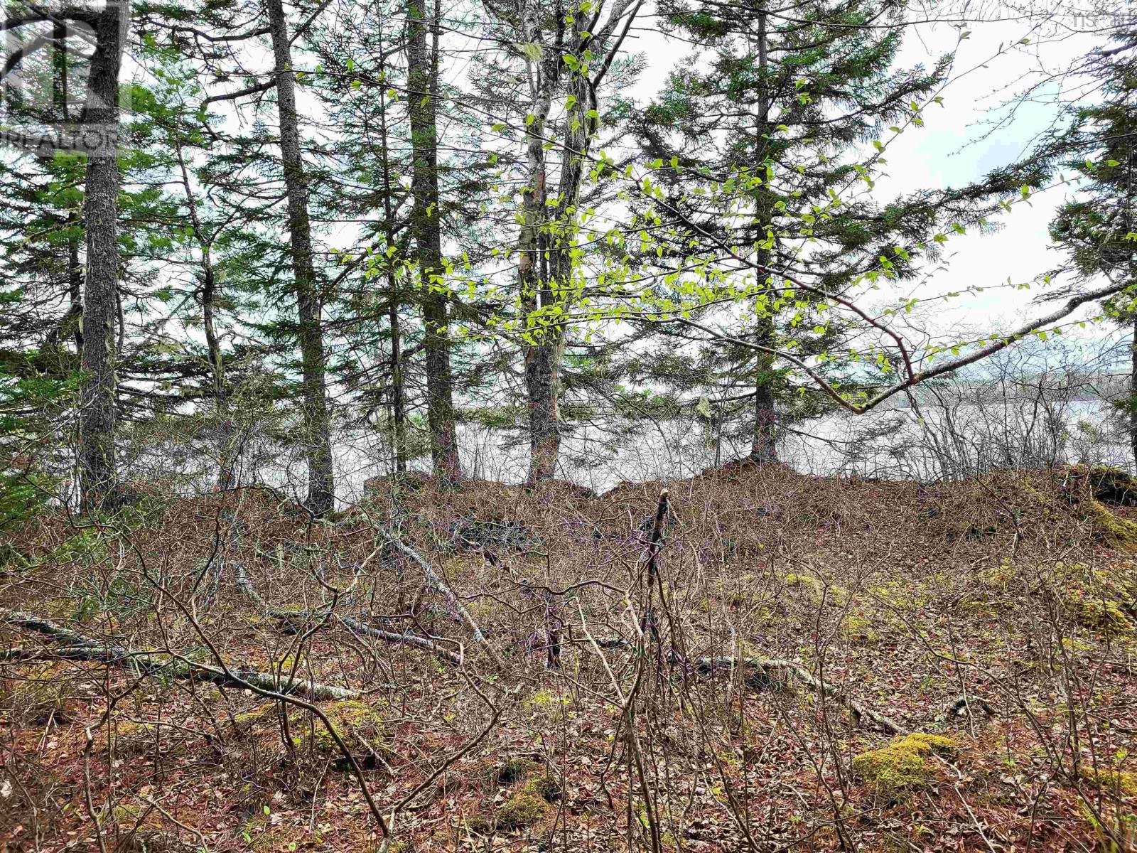 Lot Hirtle Road, Voglers Cove, Nova Scotia  B0J 2H0 - Photo 25 - 202417604