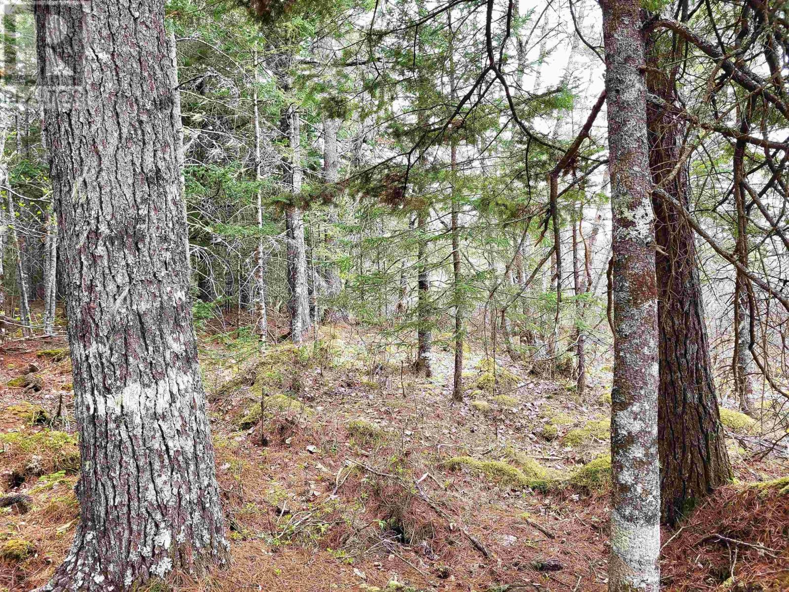 Lot Hirtle Road, Voglers Cove, Nova Scotia  B0J 2H0 - Photo 26 - 202417604