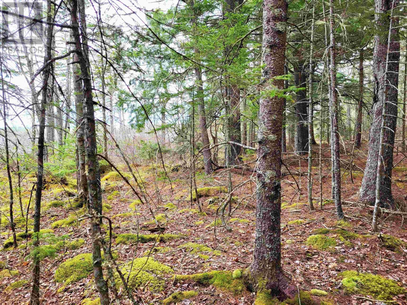 Lot Hirtle Road, Voglers Cove, Nova Scotia  B0J 2H0 - Photo 27 - 202417604