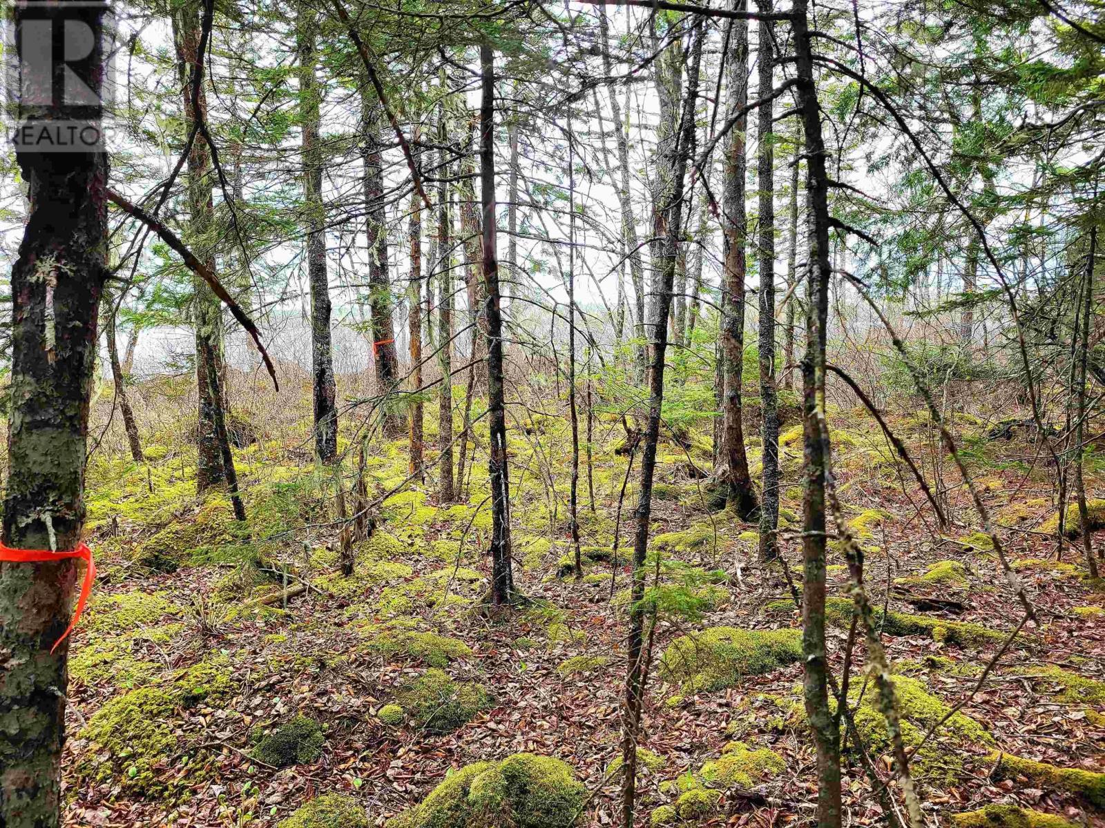 Lot Hirtle Road, Voglers Cove, Nova Scotia  B0J 2H0 - Photo 28 - 202417604