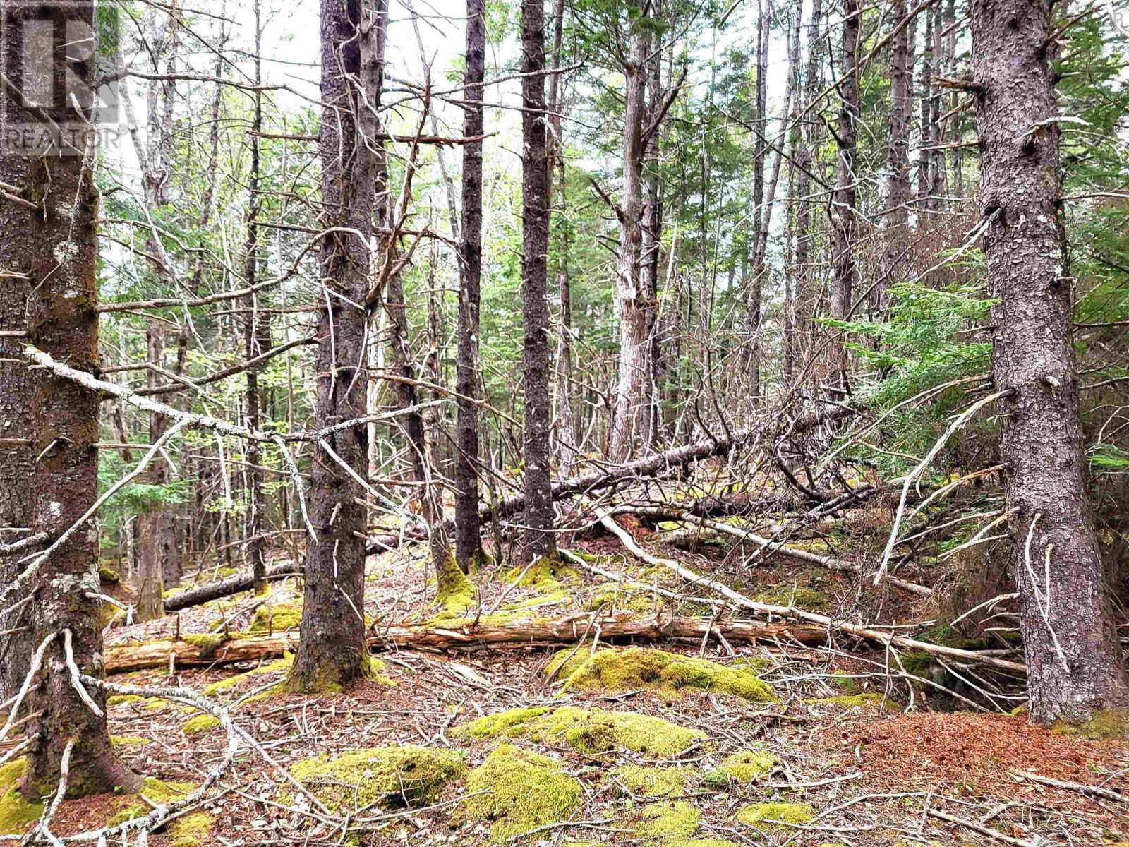 Lot Hirtle Road, Voglers Cove, Nova Scotia  B0J 2H0 - Photo 30 - 202417604