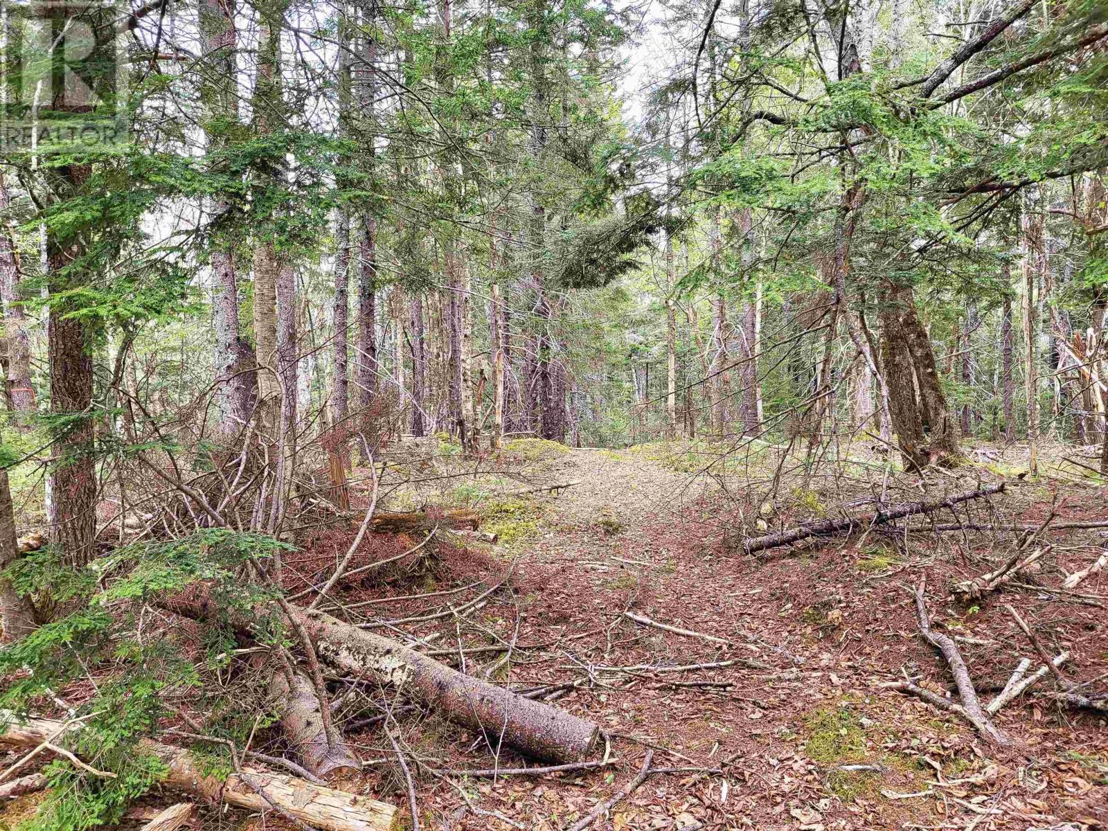 Lot Hirtle Road, Voglers Cove, Nova Scotia  B0J 2H0 - Photo 31 - 202417604