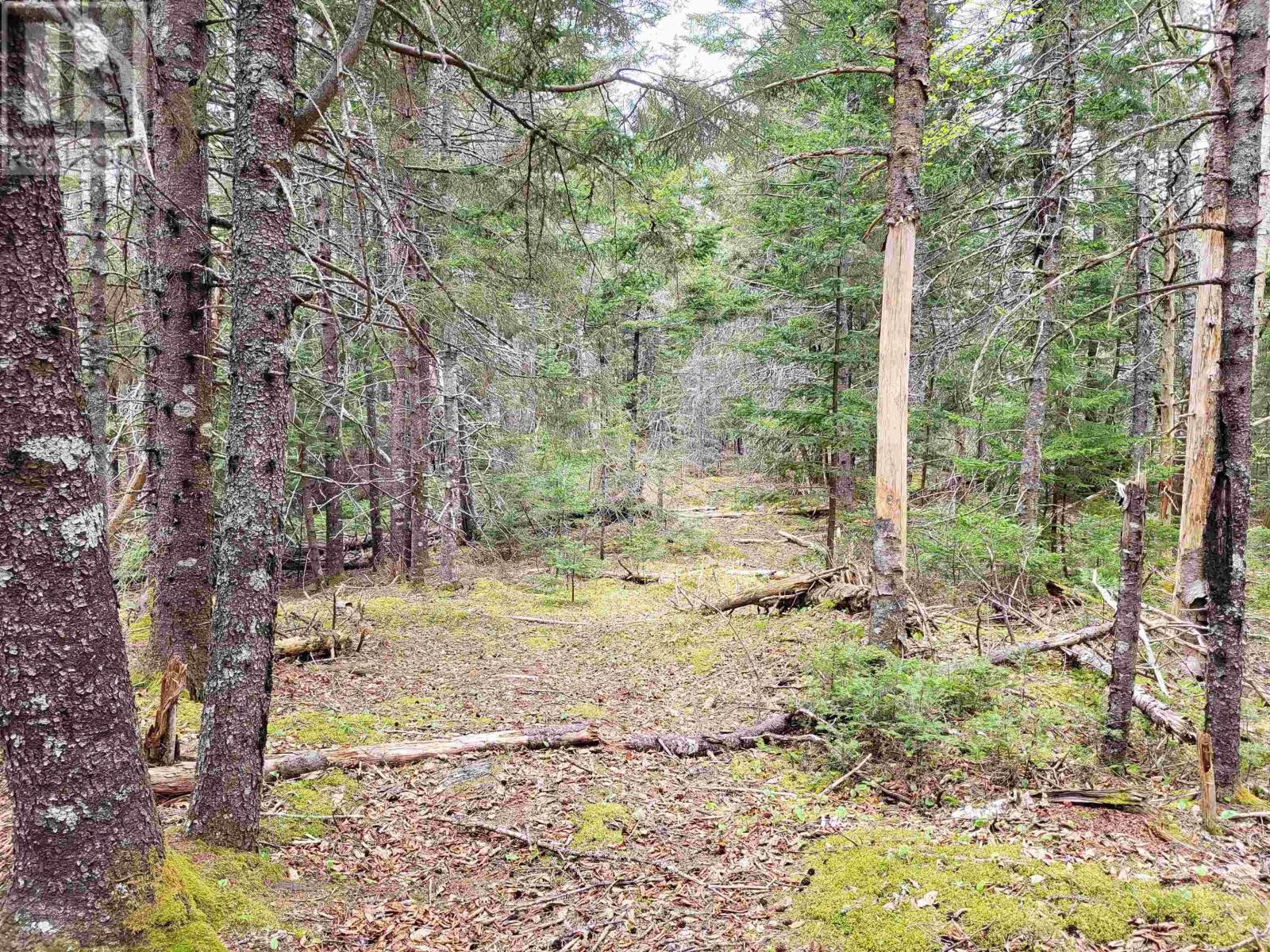 Lot Hirtle Road, Voglers Cove, Nova Scotia  B0J 2H0 - Photo 32 - 202417604