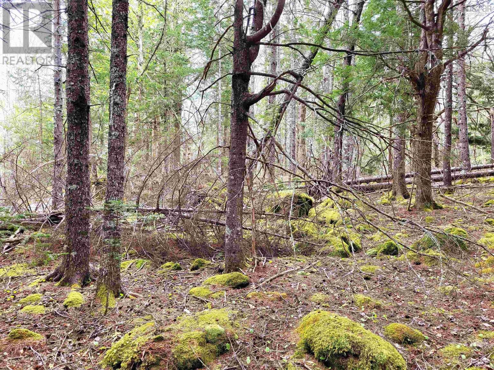 Lot Hirtle Road, Voglers Cove, Nova Scotia  B0J 2H0 - Photo 33 - 202417604