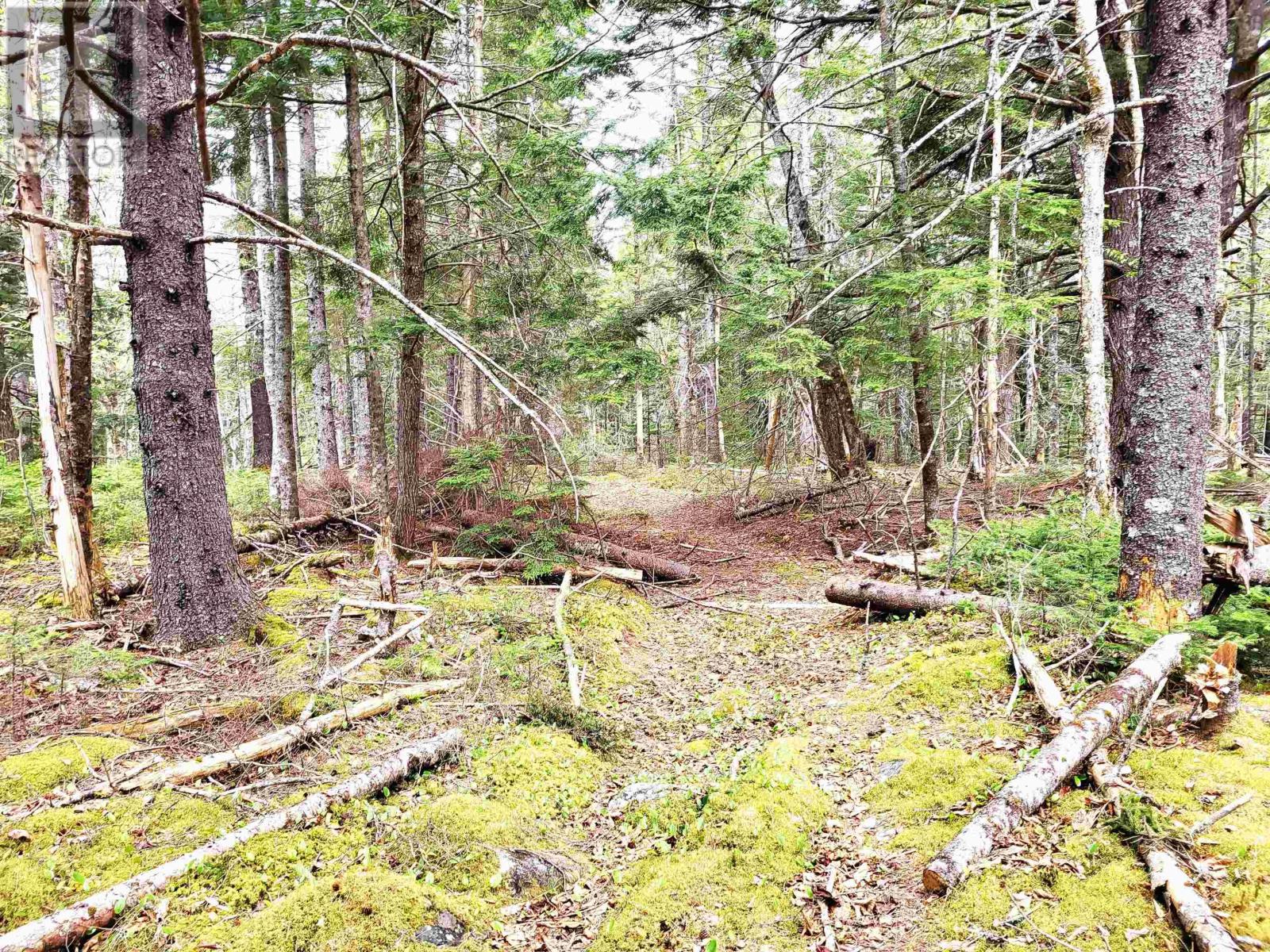 Lot Hirtle Road, Voglers Cove, Nova Scotia  B0J 2H0 - Photo 34 - 202417604