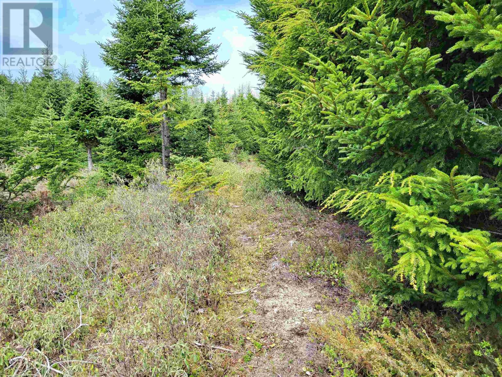 Lot Hirtle Road, Voglers Cove, Nova Scotia  B0J 2H0 - Photo 8 - 202417604