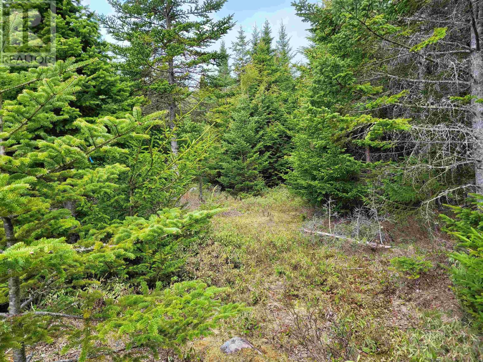 Lot Hirtle Road, Voglers Cove, Nova Scotia  B0J 2H0 - Photo 9 - 202417604