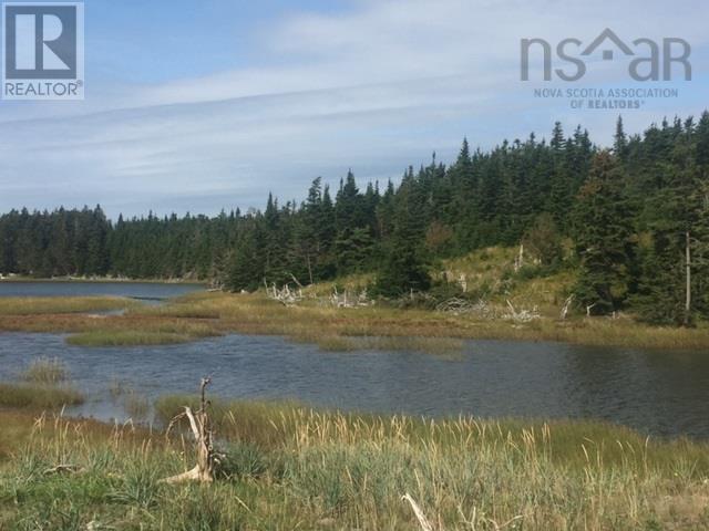 Grand Gully Island, River Tillard, Nova Scotia  B0E 2X0 - Photo 31 - 202417645