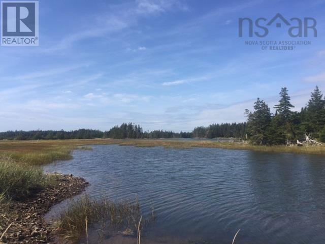 Grand Gully Island, River Tillard, Nova Scotia  B0E 2X0 - Photo 32 - 202417645