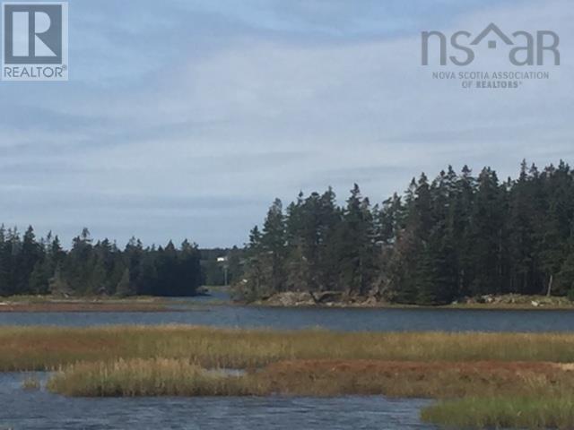 Grand Gully Island, River Tillard, Nova Scotia  B0E 2X0 - Photo 35 - 202417645