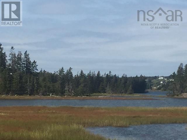 Grand Gully Island, River Tillard, Nova Scotia  B0E 2X0 - Photo 37 - 202417645