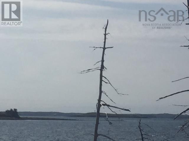 Grand Gully Island, River Tillard, Nova Scotia  B0E 2X0 - Photo 38 - 202417645