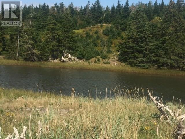 Grand Gully Island, River Tillard, Nova Scotia  B0E 2X0 - Photo 39 - 202417645