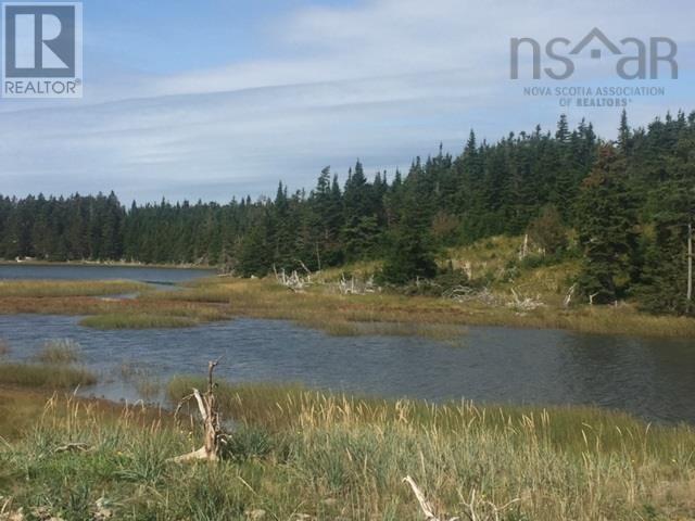 Grand Gully Island, River Tillard, Nova Scotia  B0E 2X0 - Photo 40 - 202417645