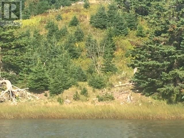 Grand Gully Island, River Tillard, Nova Scotia  B0E 2X0 - Photo 41 - 202417645