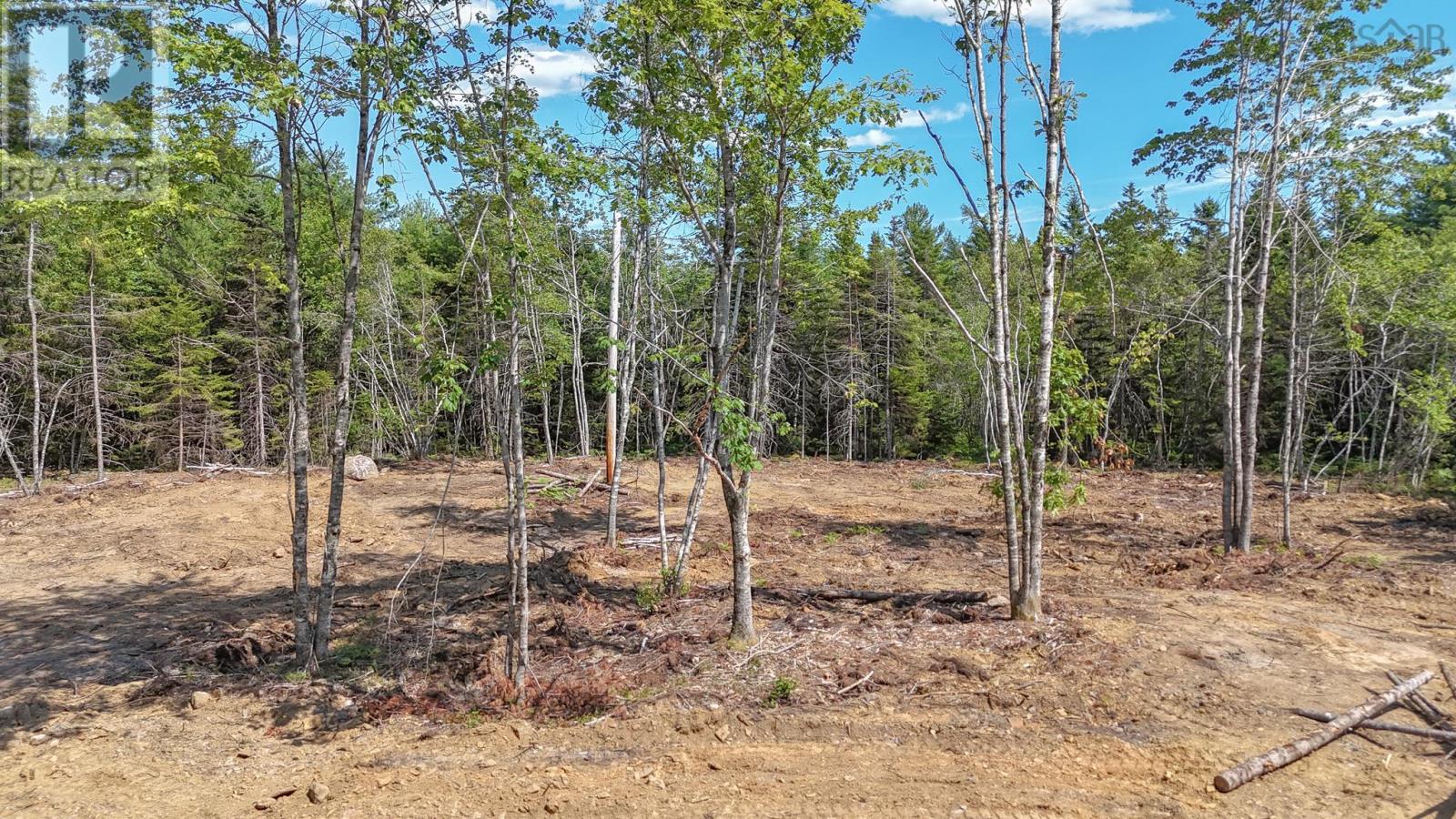 Lot 107 Cleversey Ridge Park, Fauxburg, Nova Scotia  B0J 2C0 - Photo 6 - 202417762