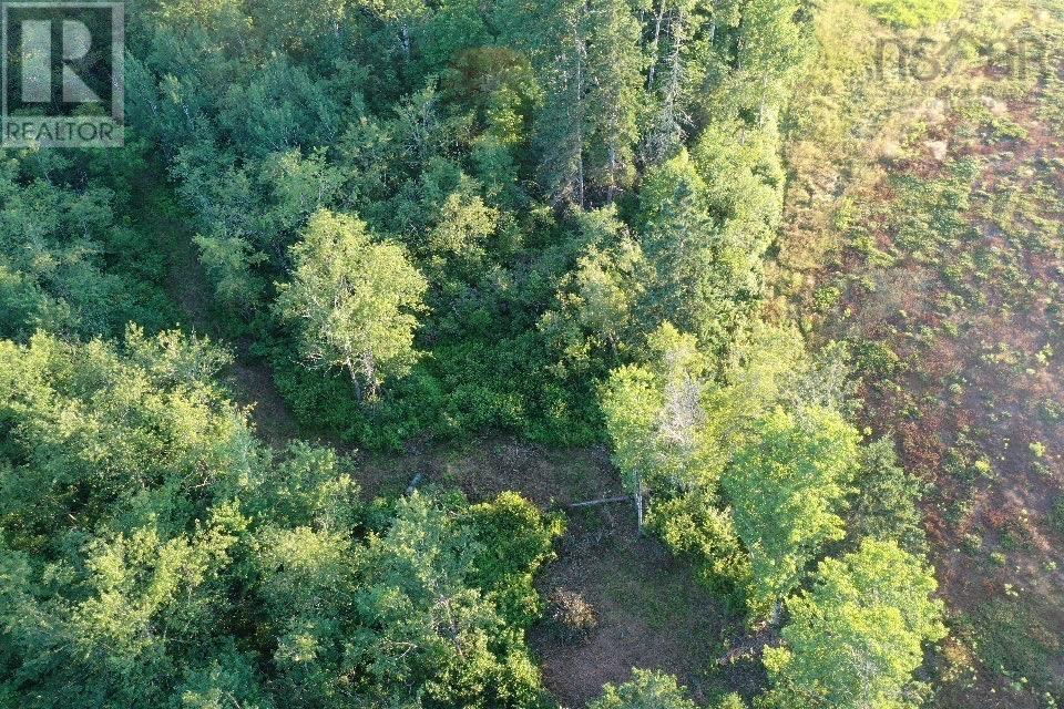 Lot Ripley Road, Williamsdale, Nova Scotia  B0M 1E0 - Photo 12 - 202417765