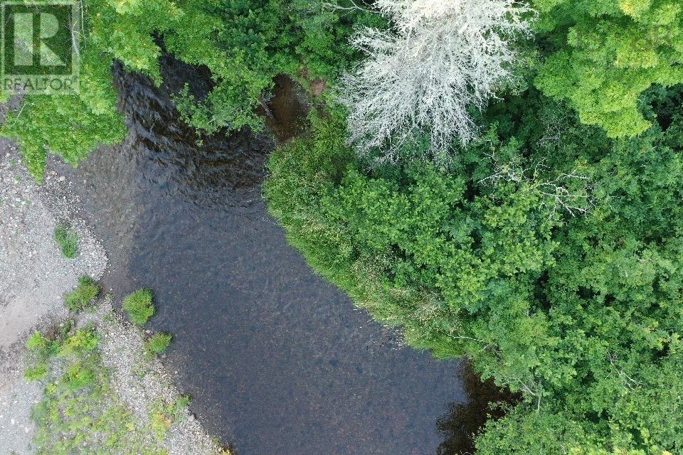 Lot Ripley Road, Williamsdale, Nova Scotia  B0M 1E0 - Photo 13 - 202417765