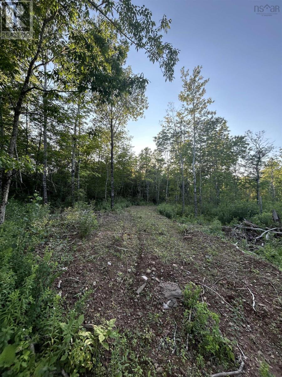 Lot Ripley Road, Williamsdale, Nova Scotia  B0M 1E0 - Photo 3 - 202417765