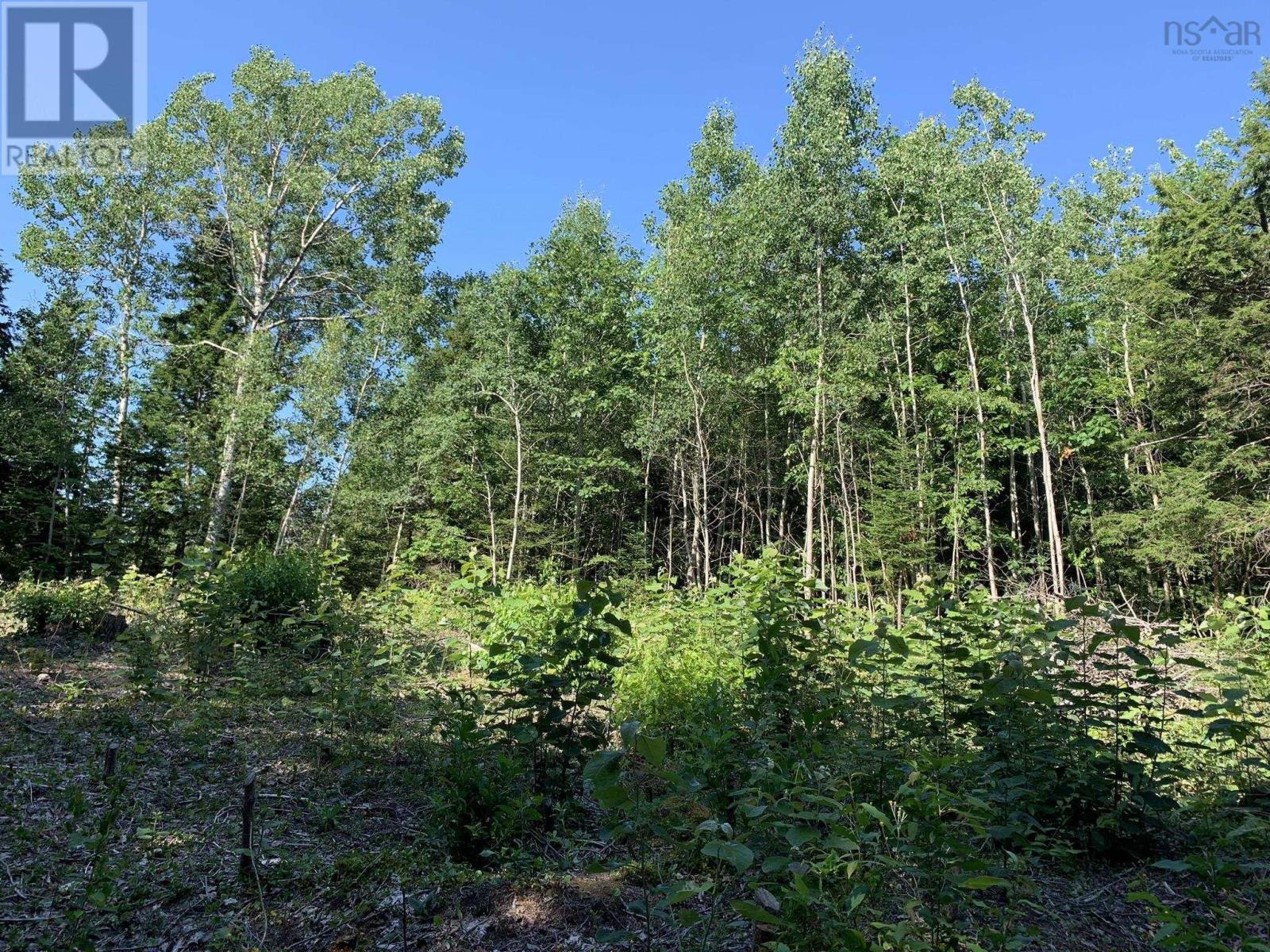 Lot Sunken Lake Road, Deep Hollow, Nova Scotia  B4P 2R2 - Photo 17 - 202417908