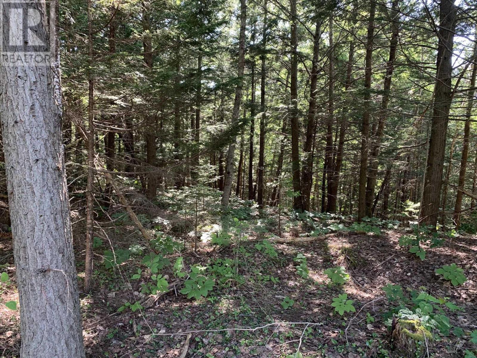 Lot Sunken Lake Road, Deep Hollow, Nova Scotia  B4P 2R2 - Photo 18 - 202417908