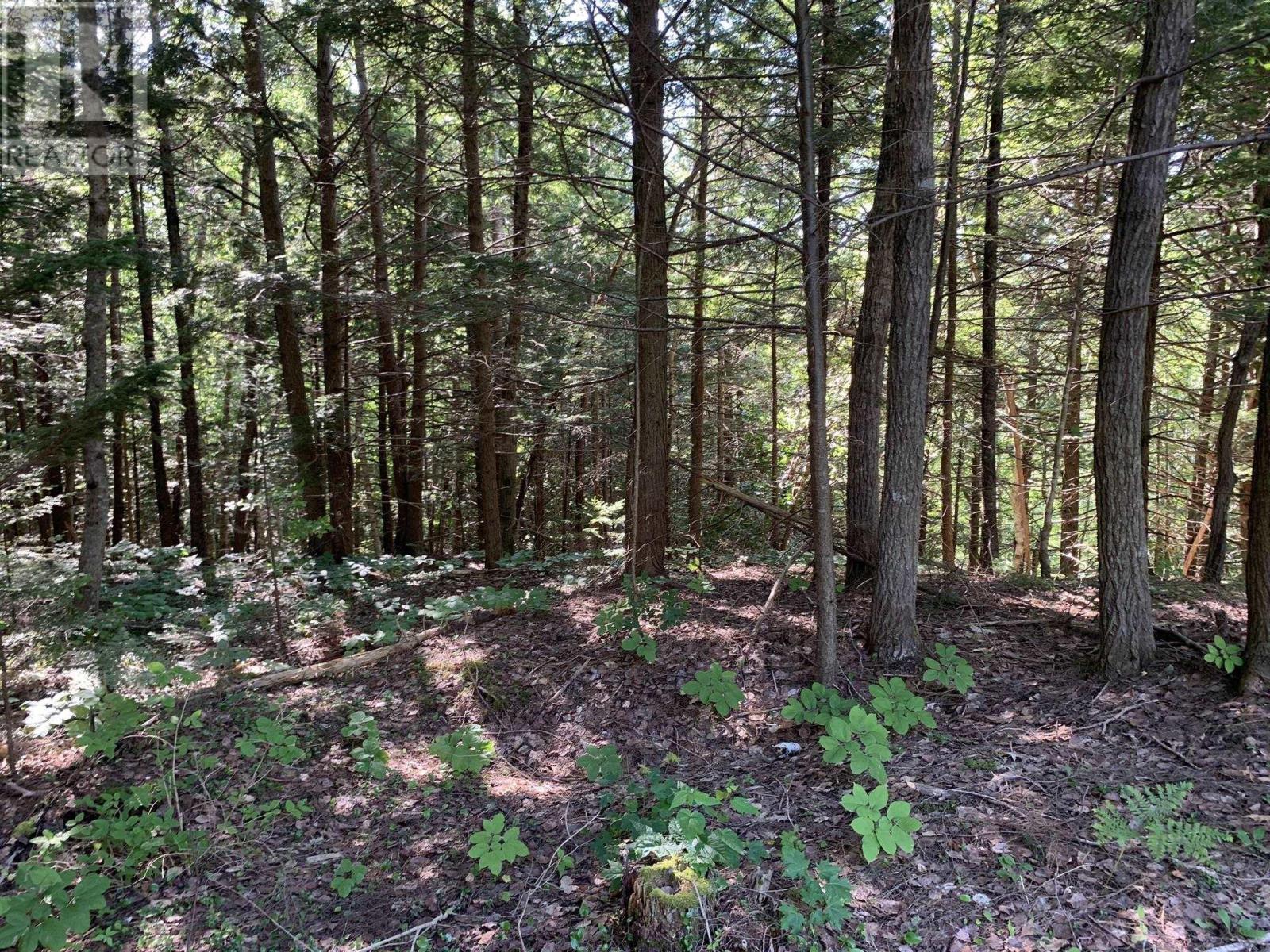 Lot Sunken Lake Road, Deep Hollow, Nova Scotia  B4P 2R2 - Photo 19 - 202417908