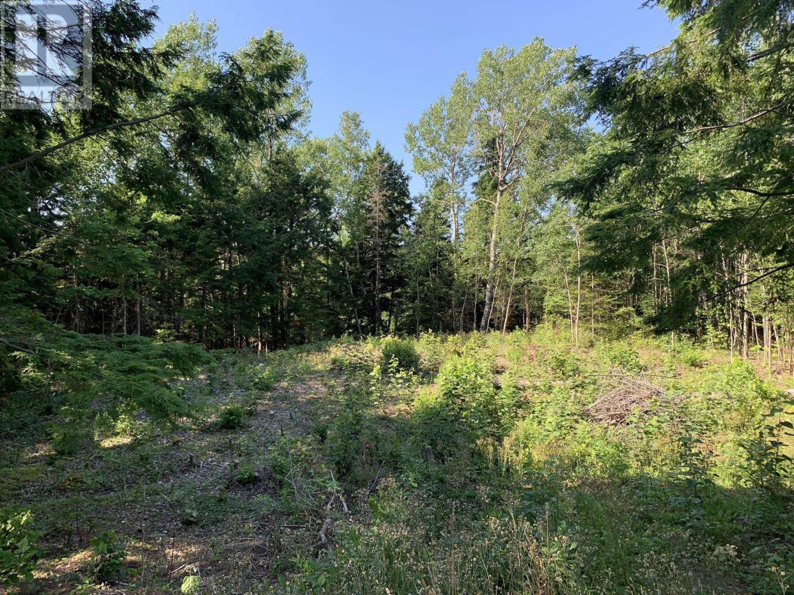 Lot Sunken Lake Road, Deep Hollow, Nova Scotia  B4P 2R2 - Photo 2 - 202417908