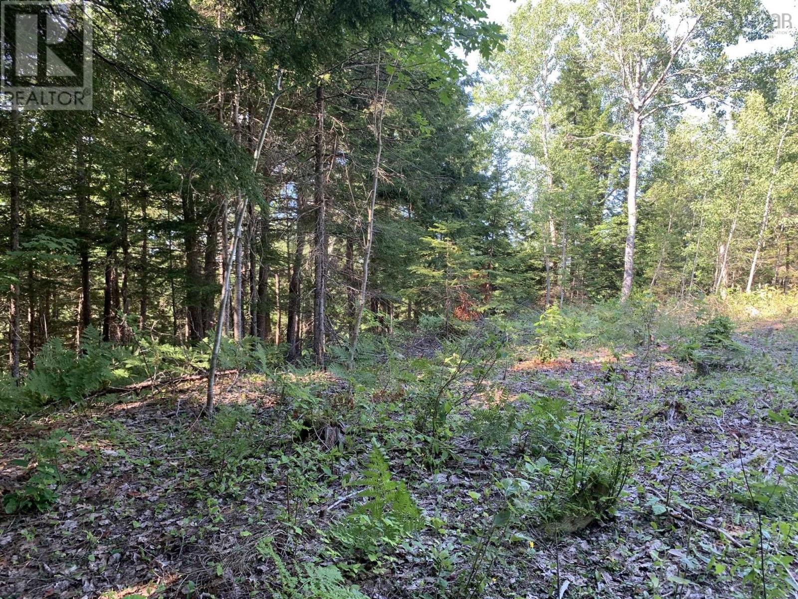 Lot Sunken Lake Road, Deep Hollow, Nova Scotia  B4P 2R2 - Photo 20 - 202417908